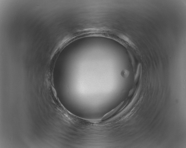 X0000060741357200511101057