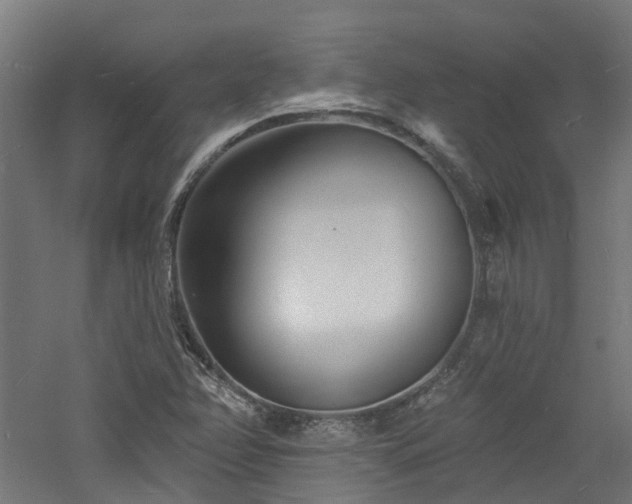 X0000060741358200511101057