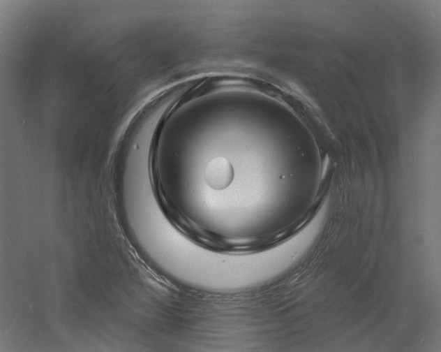 X0000060741360200511101057