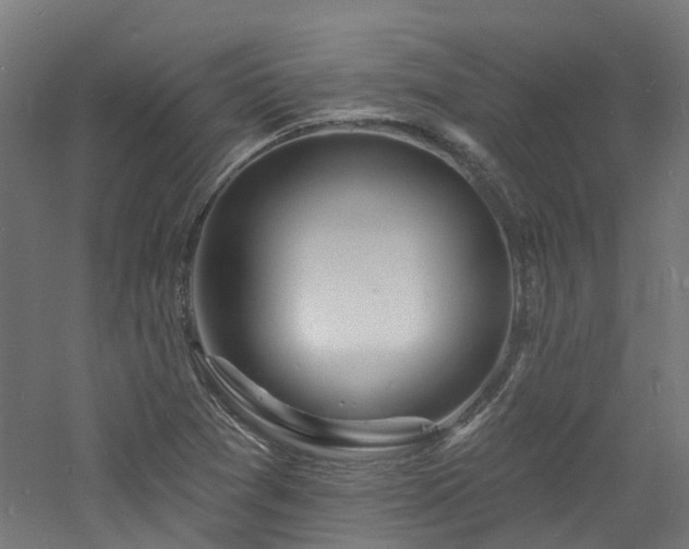 X0000060741361200511101057