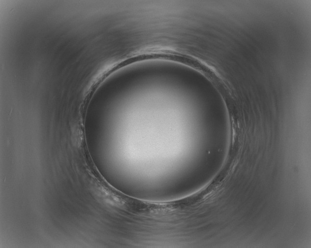 X0000060741363200511101057