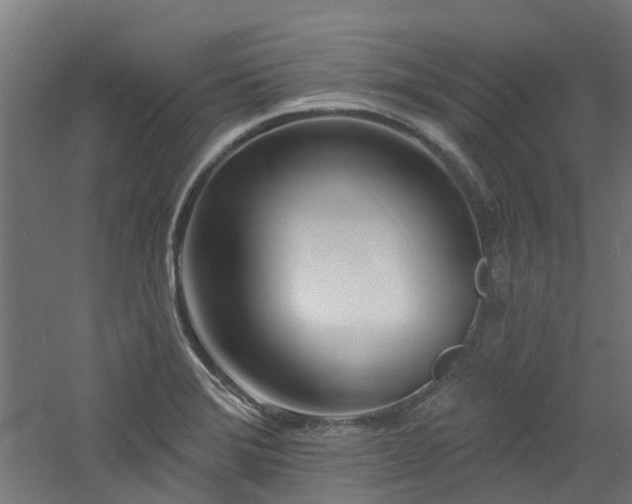 X0000060741372200511101057