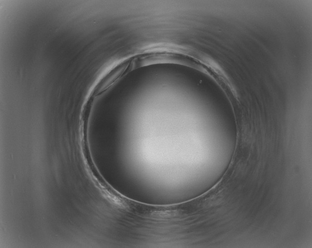 X0000060741376200511101057