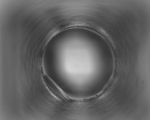 X0000060741377200511101057