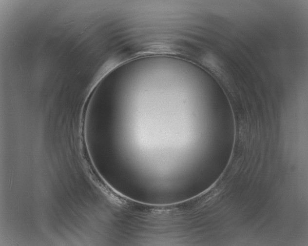 X0000060741378200511101056