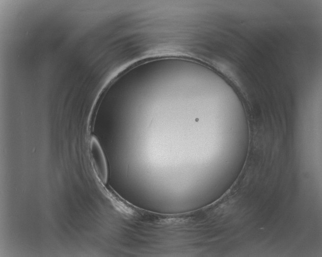 X0000060741380200511101056