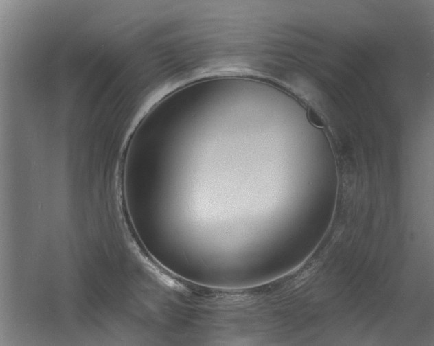 X0000060741382200511101056