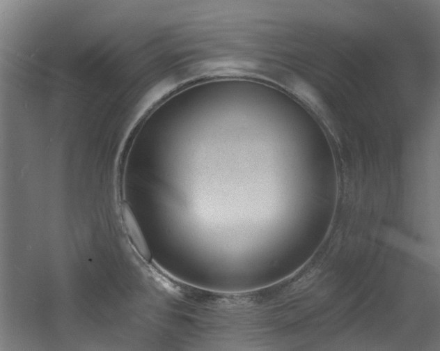 X0000060741384200511101056