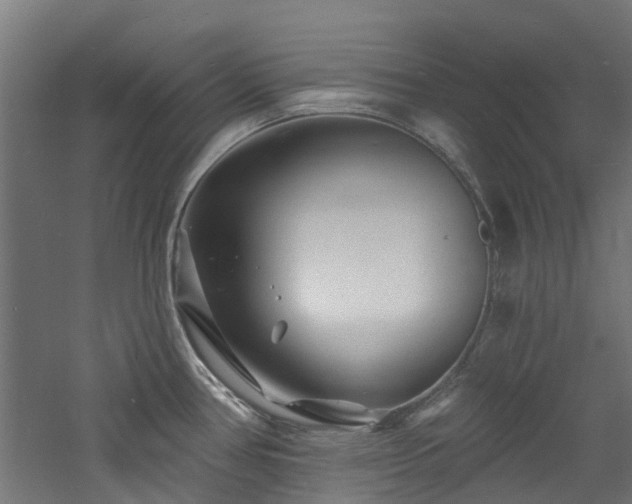 X0000060741386200511101056