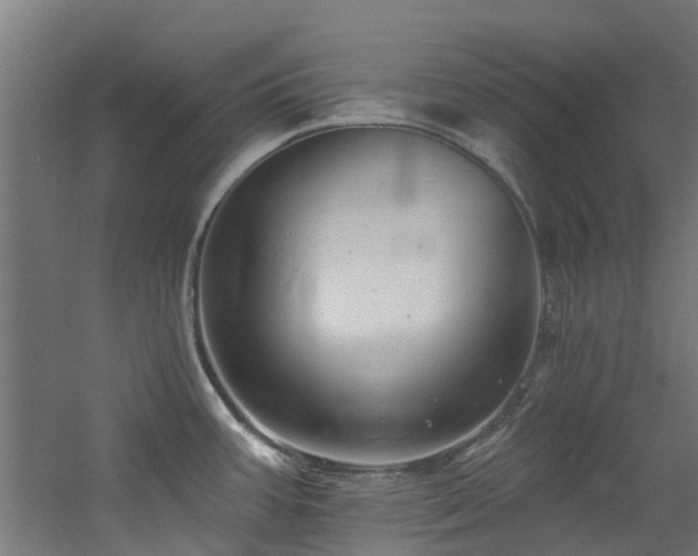 X0000060741387200511101056