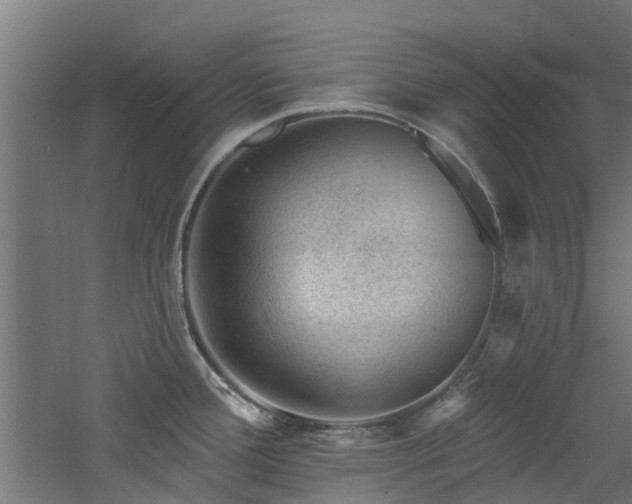 X0000060741388200511101056