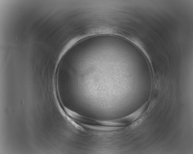 X0000060741389200511101056