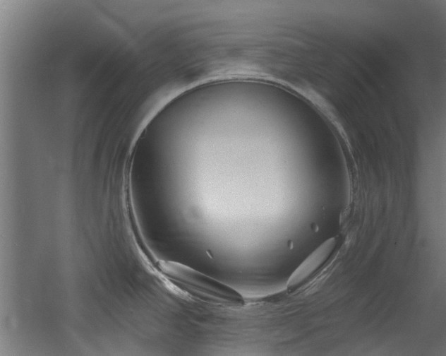 X0000060741390200511101056