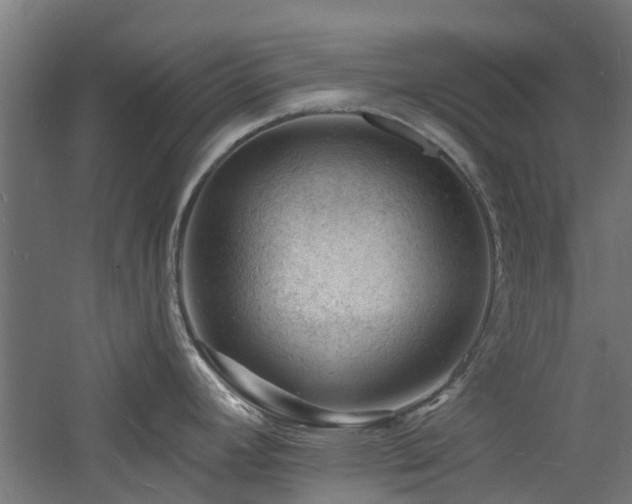 X0000060741392200511101056