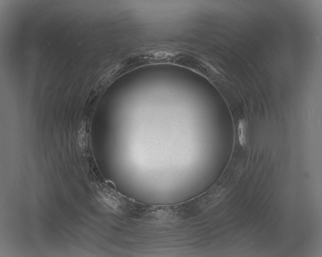 X0000060741395200511101055