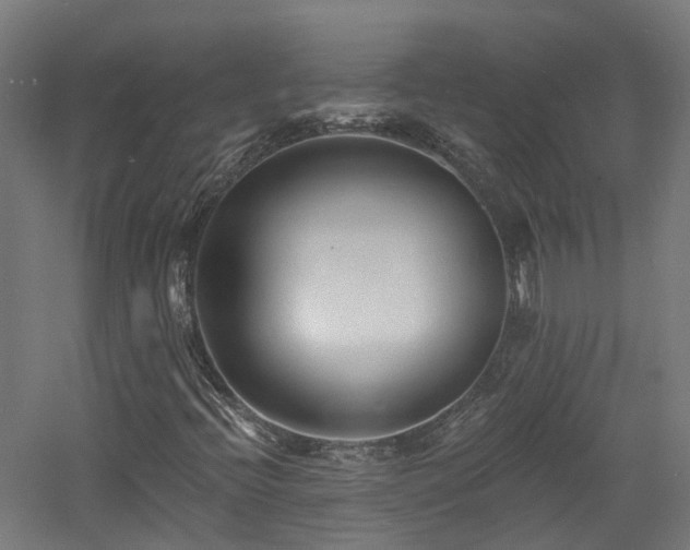 X0000060741396200511101055