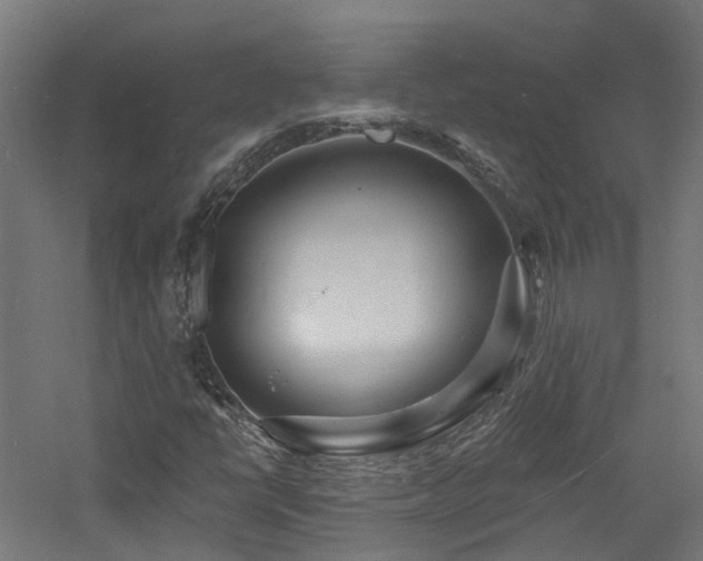 X0000060741398200511101056