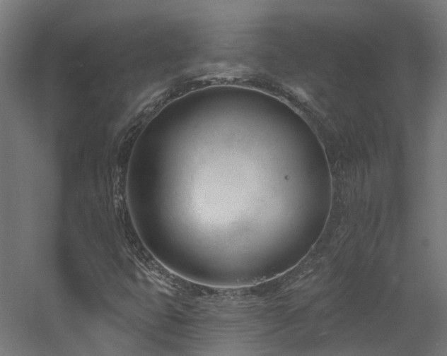 X0000060741399200511101056