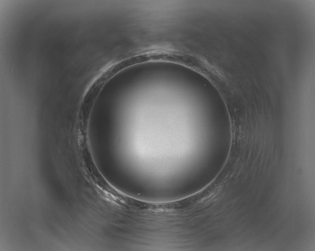 X0000060741400200511101056