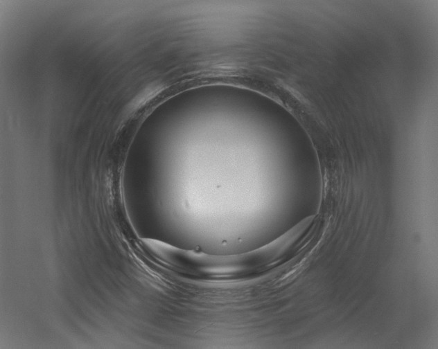 X0000060741402200511101056