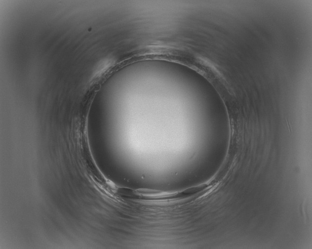 X0000060741403200511101056