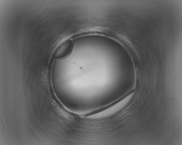 X0000060741404200511101056