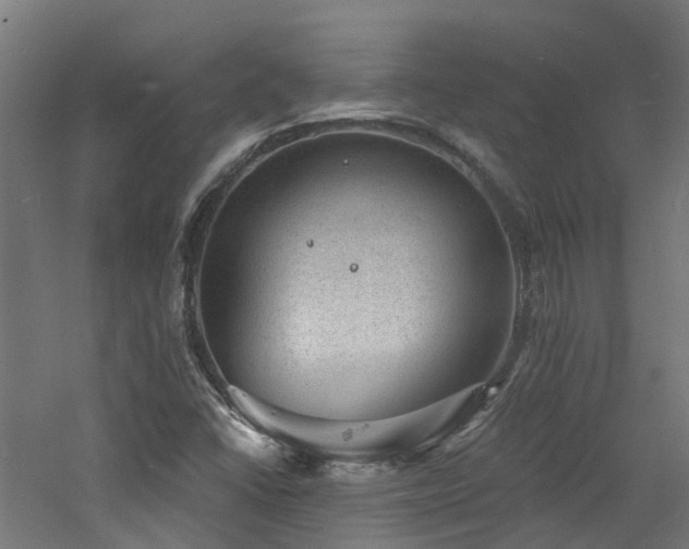 X0000060741406200511101056