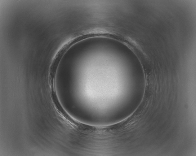 X0000060741408200511101056