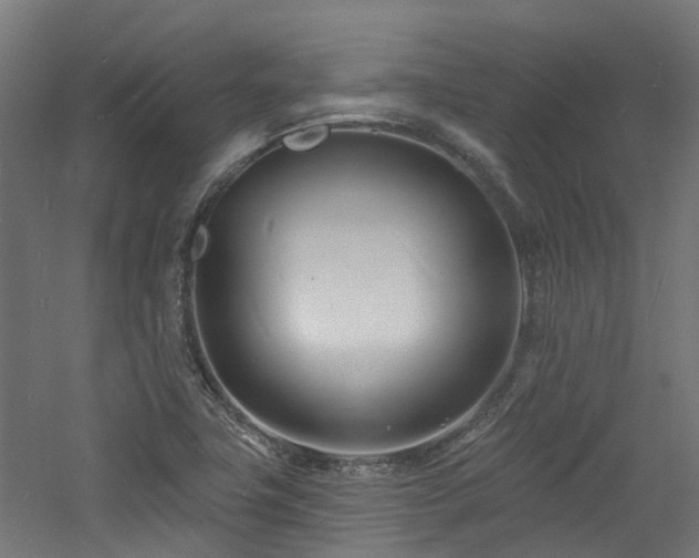 X0000060741411200511101056