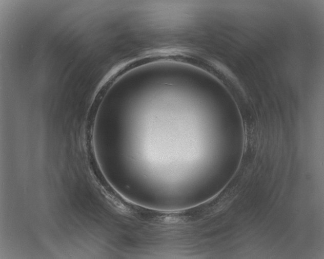 X0000060741412200511101056