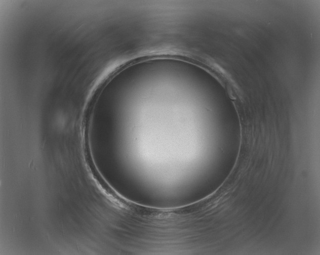 X0000060741416200511101056