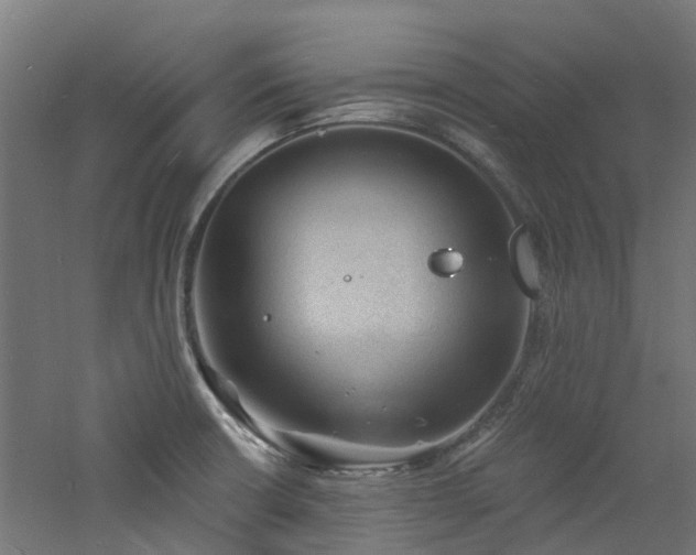 X0000060741426200511101056