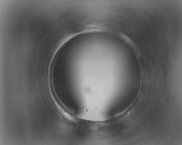 X0000060741431200511101056