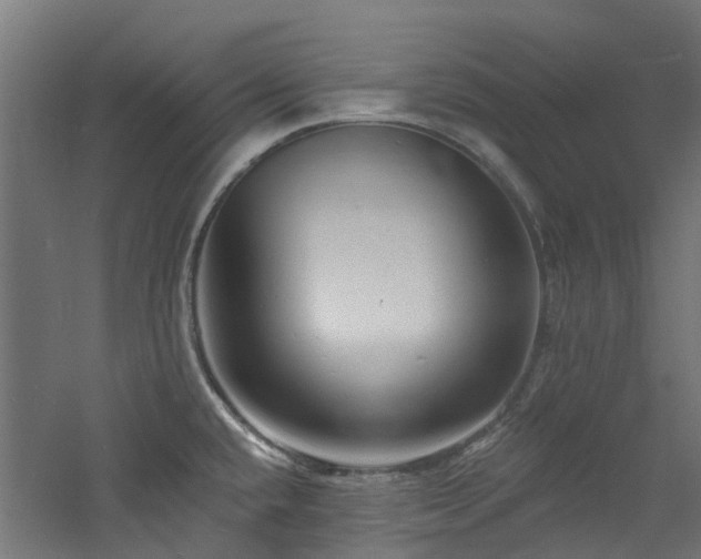 X0000060741432200511101056