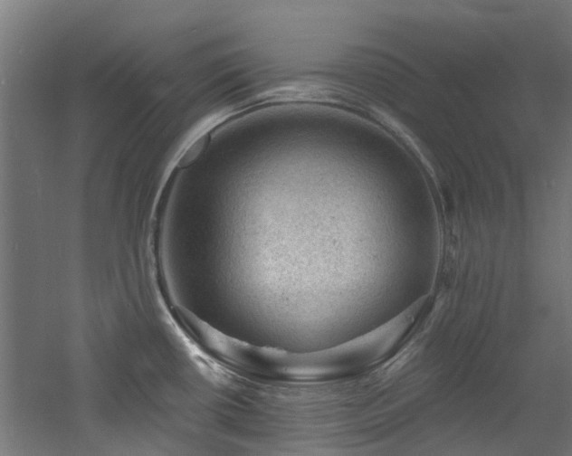 X0000060741434200511101056