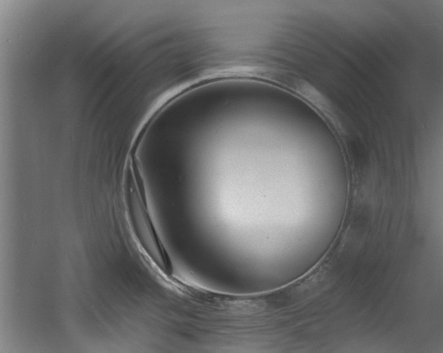 X0000060741436200511101056