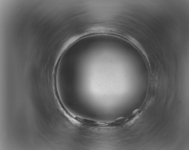 X0000060741437200511101056