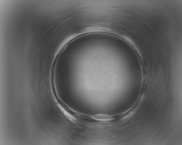 X0000060741438200511101056