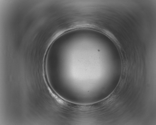 X0000060741439200511101056