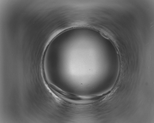 X0000060741440200511101056