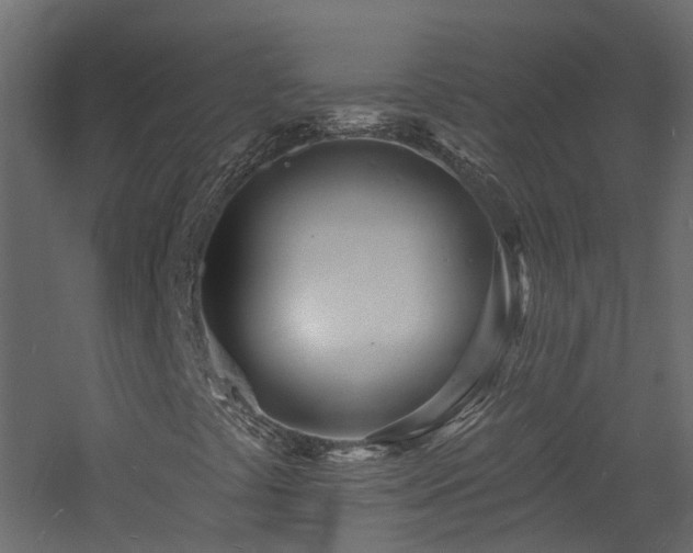 X0000060741441200511101055