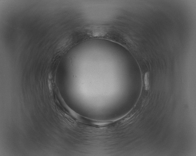 X0000060741443200511101055