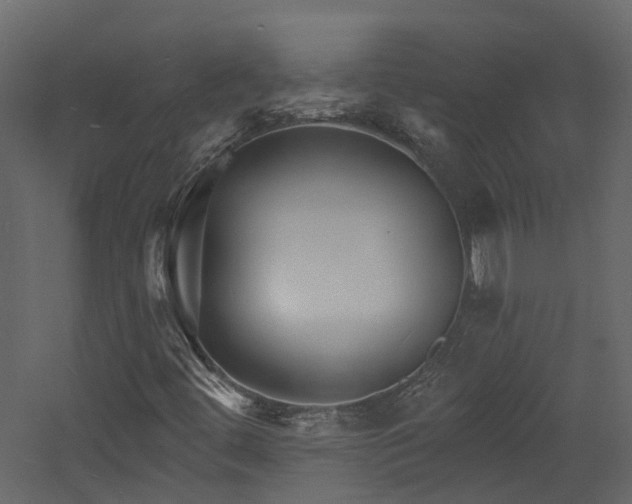 X0000060741444200511101055