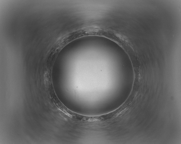 X0000060741445200511101055