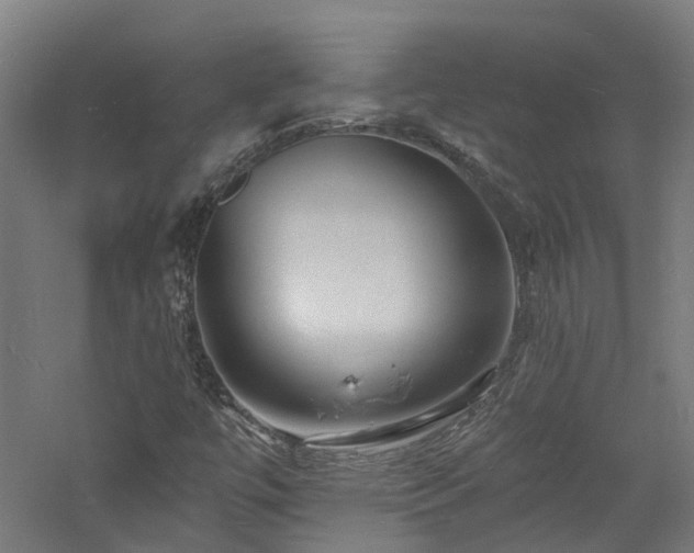 X0000060741447200511101055