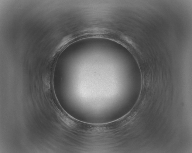 X0000060741451200511101055