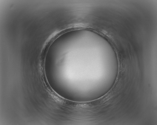 X0000060741454200511101055