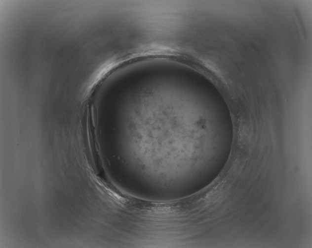 X0000060741455200511101055