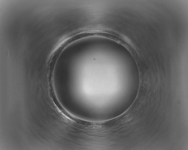 X0000060741456200511101055