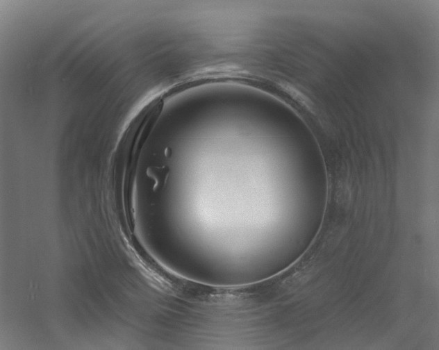 X0000060741458200511101055